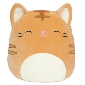 Nathan 16 inch Squishmallow Ginger Tabby Cat Soft Plush Stuffed Animal Kelly Toy